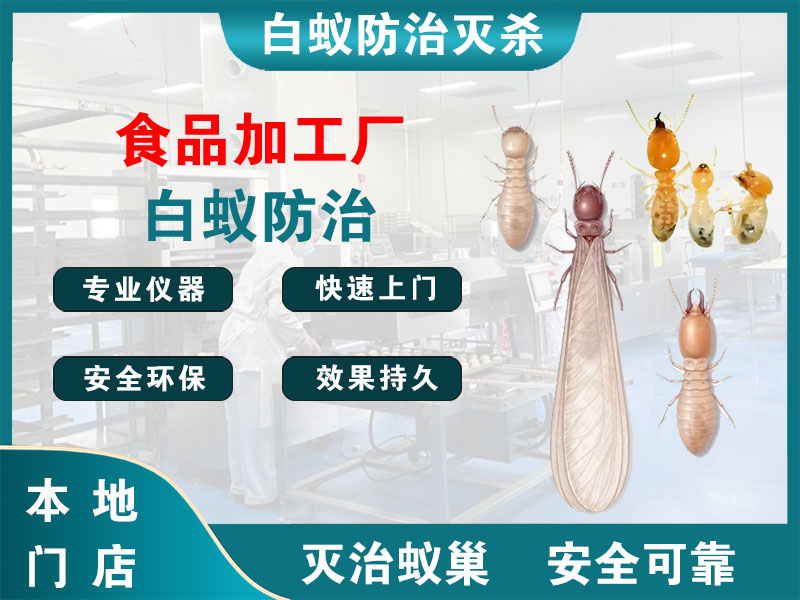 鼓楼食品加工厂白蚁防治